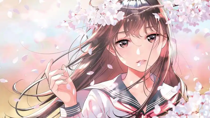 热播剧集少女情怀
